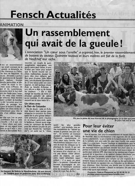 Cliquez pour agrandir l'image