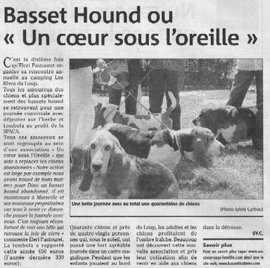 Cliquez pour agrandir l'image Cliquez pour agrandir l'image